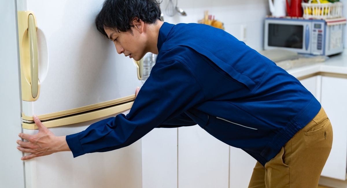 冷蔵庫の画像